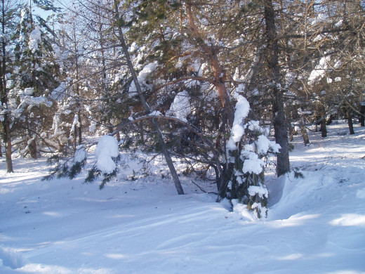 1232622 (a): :2795x2096